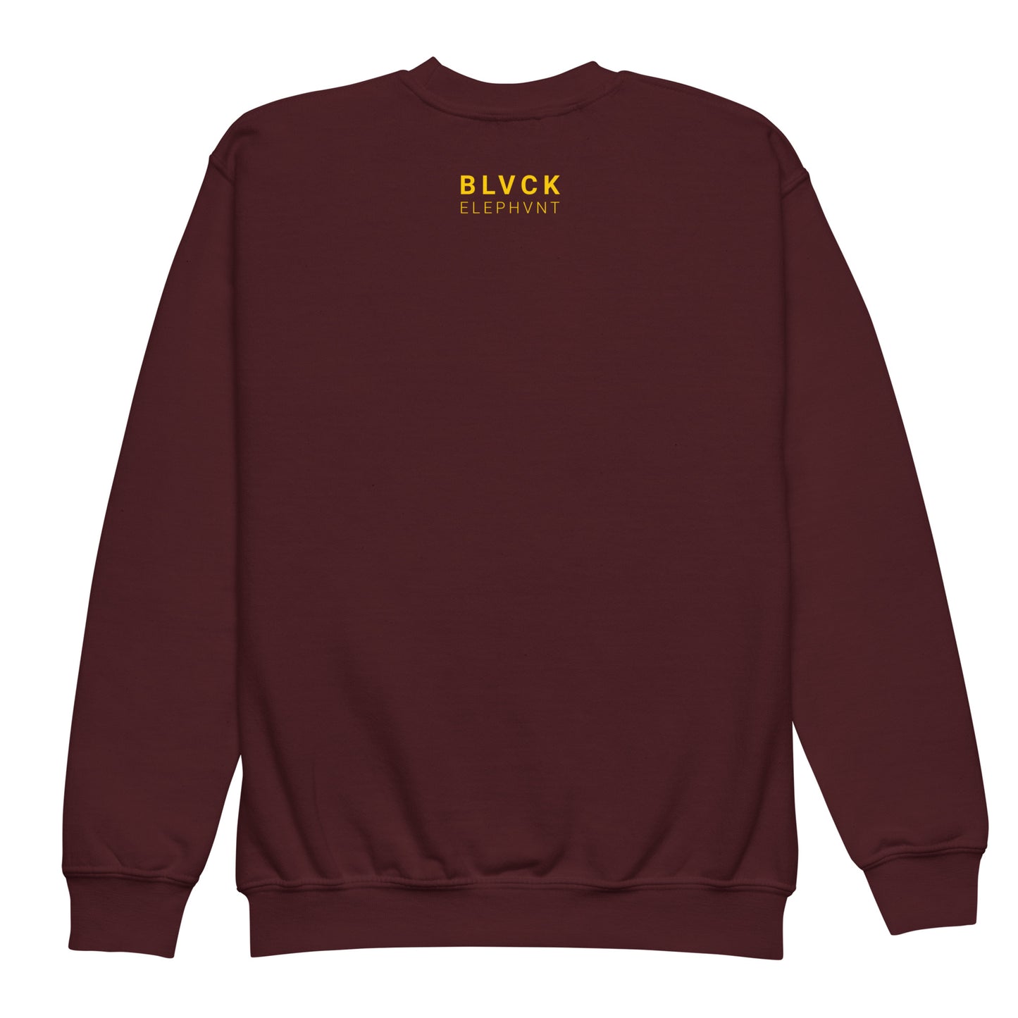 BIG ELE PRINT SWEATSHIRT - KIDS