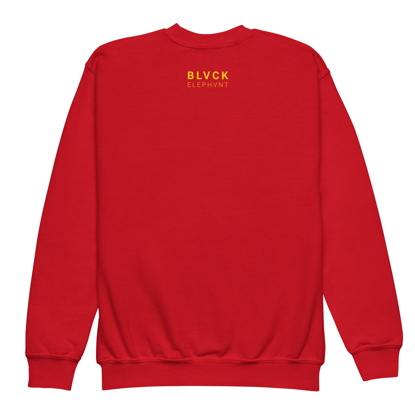 BIG ELE PRINT SWEATSHIRT - KIDS