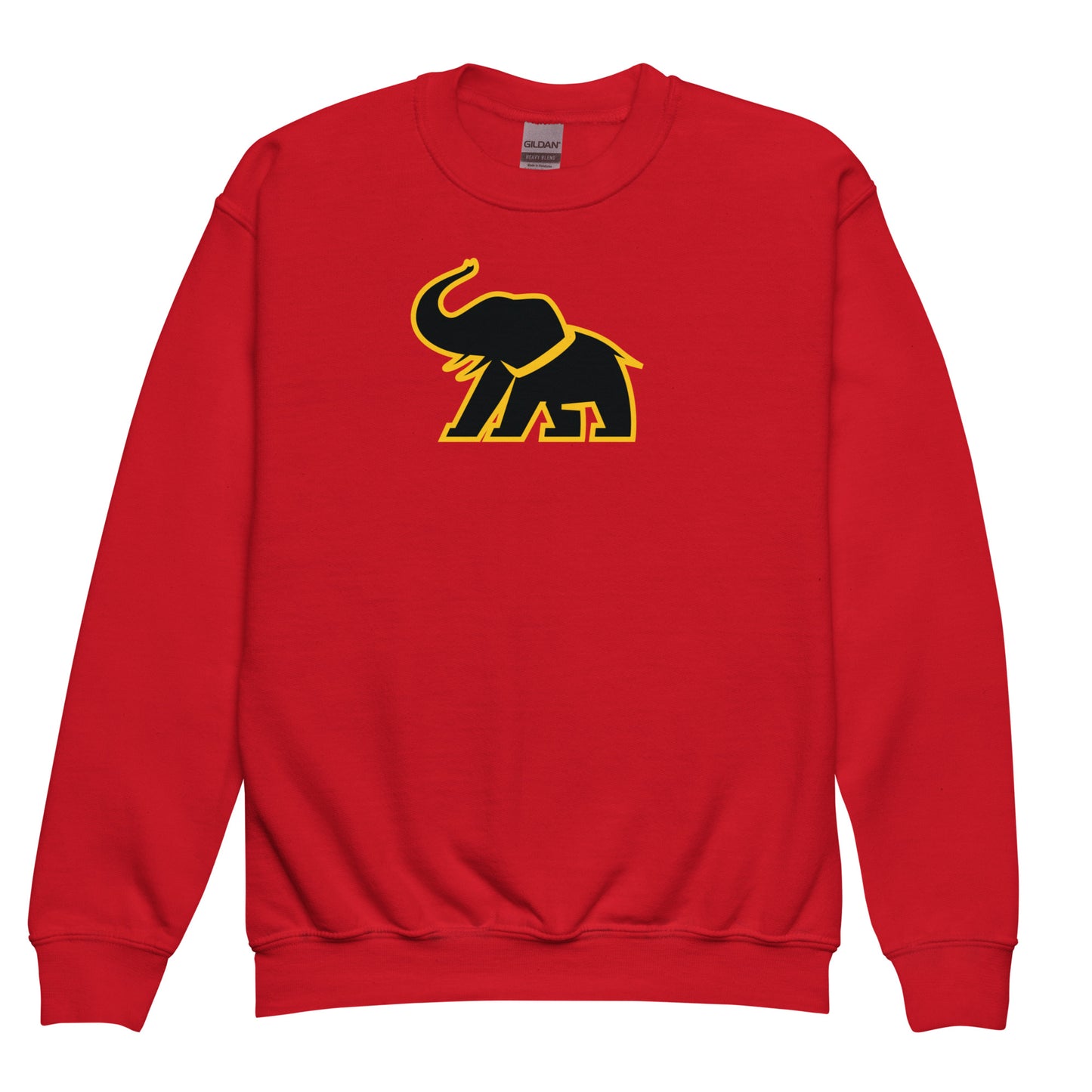 BIG ELE PRINT SWEATSHIRT - KIDS