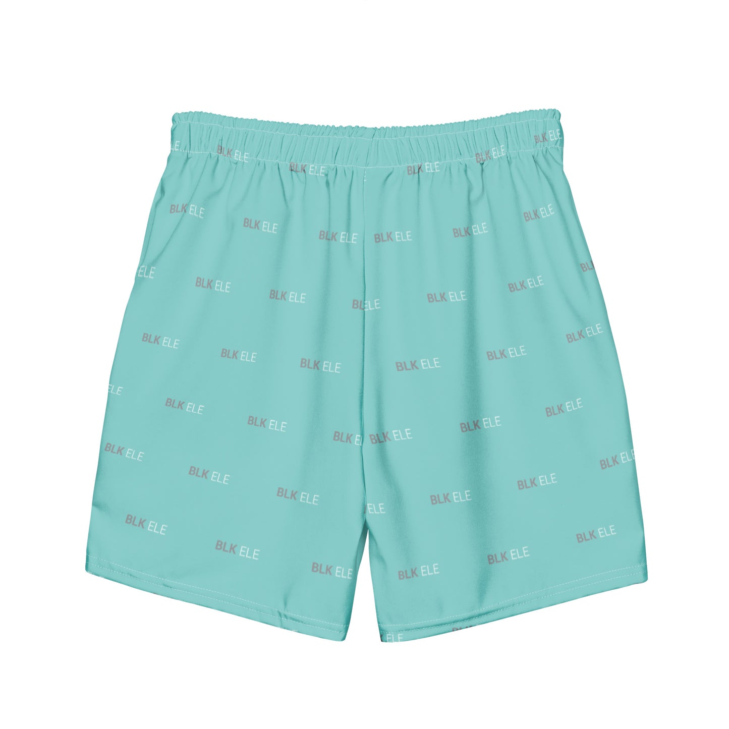 S2NR SWIM TRUNKS -  TIFFANY MINT / SMOKE GRAY