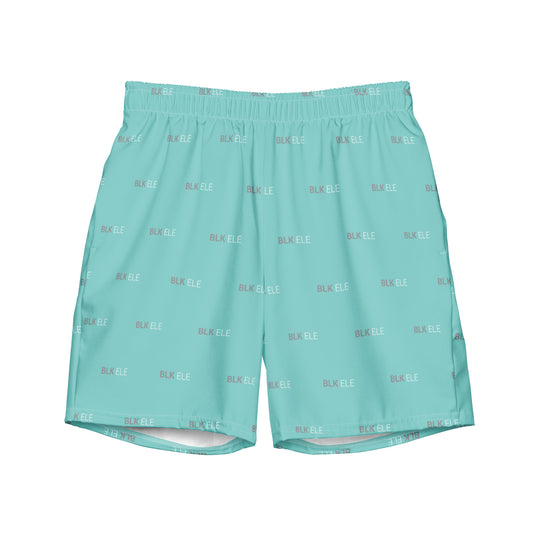 S2NR SWIM TRUNKS -  TIFFANY MINT / SMOKE GRAY