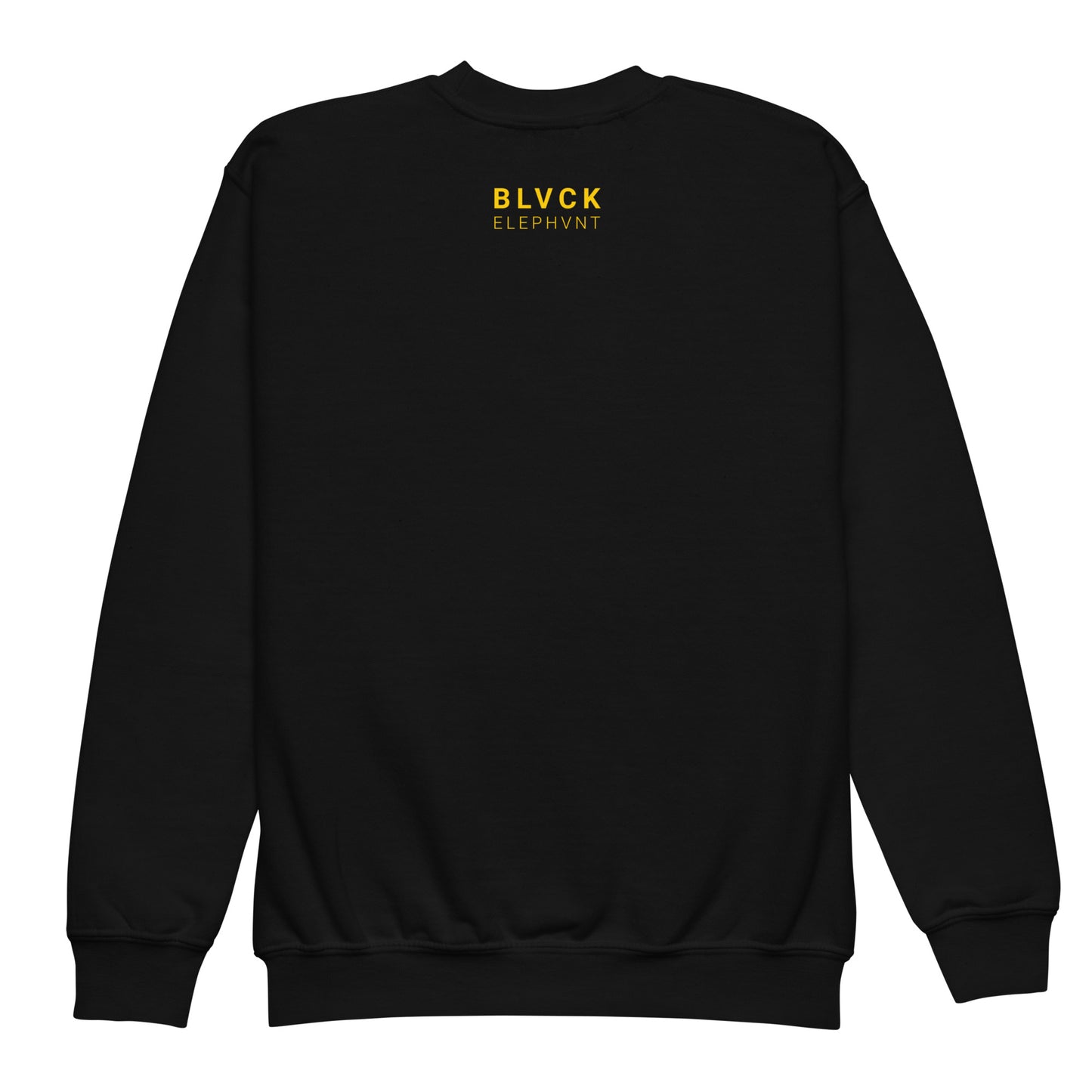 BIG ELE PRINT SWEATSHIRT - KIDS