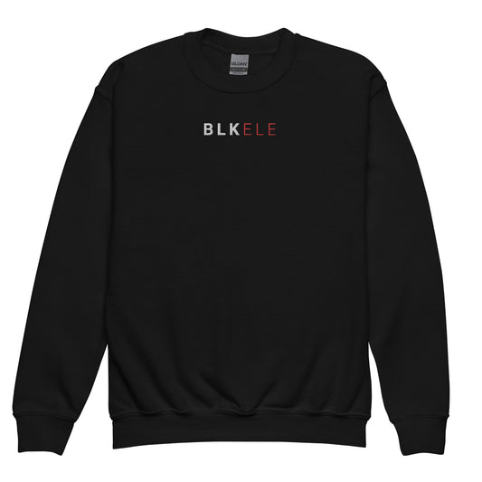 S2NR CLASSIC EMBROIDERED CRWNCK SWEATSHIRT- KIDS